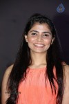 Ala Ela Movie Audio Launch 01 - 37 of 103