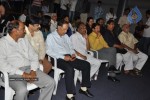 Ala Modalaindi Movie 100days Function - 17 of 80