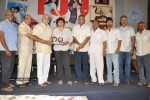 Ala Modalaindi Movie 100days Function - 35 of 80