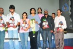 Ala Modalaindi Movie Triple Platinum Disc Function - 85 of 100