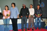 Ala Modalaindi Movie Triple Platinum Disc Function - 96 of 100