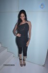Alagan Alagi Tamil Movie Audio Launch - 33 of 63