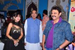 Alasyam Amrutham Movie  Audio Launch - 32 of 47
