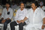 All The Best Movie Audio Launch - 44 of 60