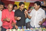 Allu Arjun Bday 2013 Celebrations - 44 of 82