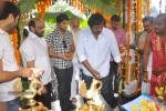Allu Arjun New Movie Opening - 102 of 146