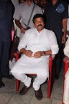 Allu Ramalingaiah Award 2013 Presentation 01 - 95 of 152