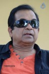 Alludu Seenu Brahmanandam PM - 5 of 71