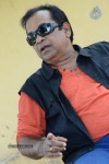 Alludu Seenu Brahmanandam PM - 51 of 71