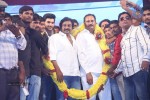 Alludu Seenu Movie Audio Launch 04 - 2 of 168