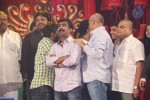 Alludu Seenu Movie Audio Launch 04 - 42 of 168