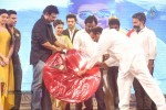 Alludu Seenu Movie Audio Launch 04 - 108 of 168