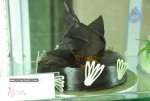 Almas Bakery Opening By Balakrishna, Ileana, Vishnu - 4 of 114