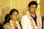 ALS Nachiappan Son Wedding Reception - 4 of 70