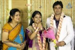 ALS Nachiappan Son Wedding Reception - 14 of 70