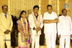 ALS Nachiappan Son Wedding Reception - 19 of 70