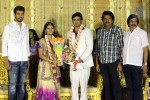 ALS Nachiappan Son Wedding Reception - 25 of 70