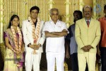 ALS Nachiappan Son Wedding Reception - 39 of 70