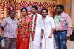 Amala Paul and Director Vijay Wedding Photos - 57 of 43