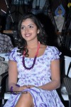 Amala Paul at Nanna Movie Audio Launch - 14 of 39