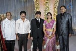 Ambica Krishna Brother Son Wedding Reception - 3 of 18