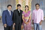 Ambica Krishna Brother Son Wedding Reception - 5 of 18