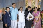 Ambica Krishna Brother Son Wedding Reception - 6 of 18