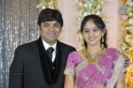 Ambica Krishna Brother Son Wedding Reception - 11 of 18