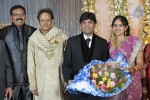 Ambica Krishna Brother Son Wedding Reception - 17 of 18