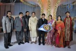 Ambica Krishna Brother Son Wedding Reception - 18 of 18