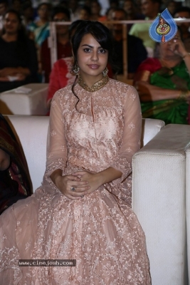 Ameerpet to America Audio Launch - 3 of 20