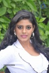 Ammavin Kaippesi Tamil Movie Audio Launch - 43 of 72