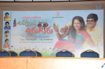 Ammayi Aaruguru Audio Launch - 17 of 20