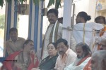 Amrutha Pasupata Maha Mrityunjaya Homam Purnahuti 01 - 47 of 128