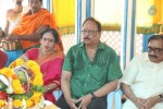 Amrutha Pasupata Maha Mrityunjaya Homam Purnahuti 02 - 2 of 128