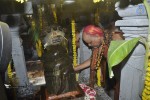 Amrutha Pasupata Maha Mrityunjaya Homam Purnahuti 02 - 98 of 128