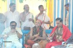 Amrutha Pasupata Maha Mrityunjaya Homam Purnahuti 02 - 107 of 128