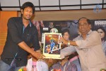 Anaganaga Movie Platinum Disc Function - 12 of 59