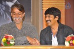 Anaganaga Movie Platinum Disc Function - 34 of 59