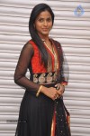Anaganaga Movie Platinum Disc Function - 35 of 59