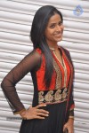Anaganaga Movie Platinum Disc Function - 39 of 59