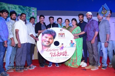 Anaganaga Oka Oollo Audio Launch - 16 of 21