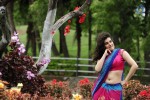 Anandini New Press Meet - 8 of 16