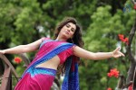 Anandini New Press Meet - 13 of 16