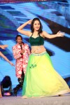 Anasuya Dance Performance at Gama Awards - 30 of 77