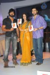 Andala Rakshasi Movie Audio Launch - 91 of 100