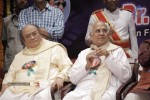 ANR Birthday Sanmanam Photos - 99 of 136