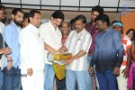 Antha Akkade Jarigindi Audio Launch - 9 of 82