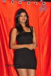 Antham Movie Audio Launch Photos - 72 of 99