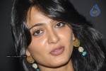 Anushka at Nanna Movie Audio Launch - 17 of 56